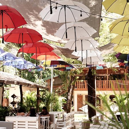 Хостел Casa Del Sol Playa Santa Teresa  Экстерьер фото