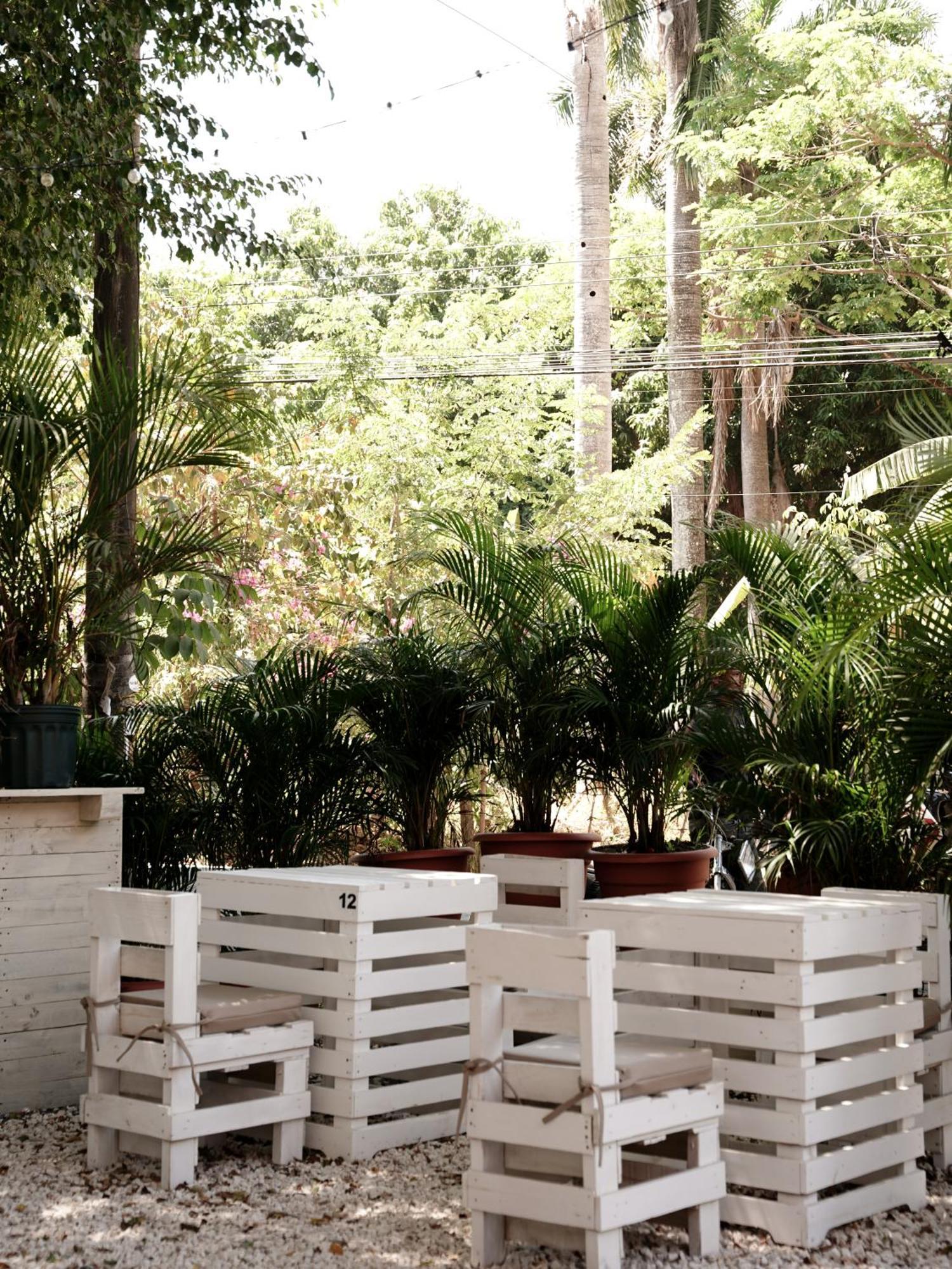 Хостел Casa Del Sol Playa Santa Teresa  Экстерьер фото